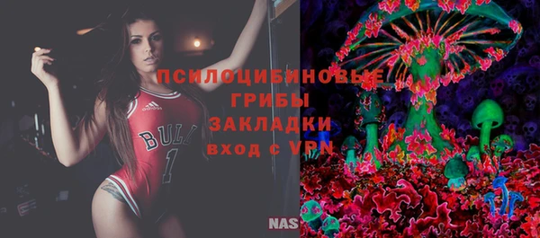 mdma Белокуриха