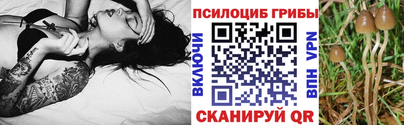 Галлюциногенные грибы ЛСД  Купить  Анапа 